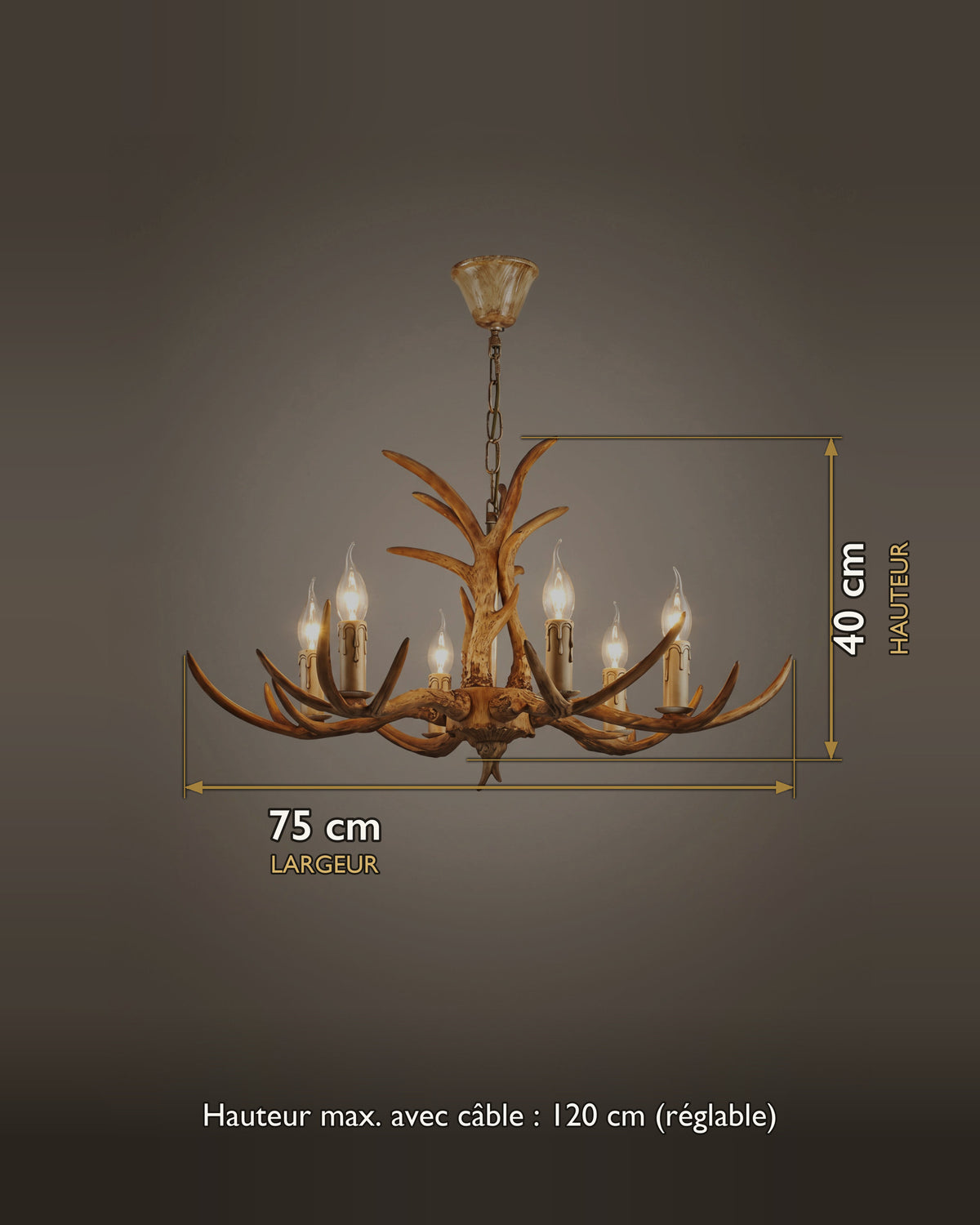 Lustre Ramure : carte des dimensions