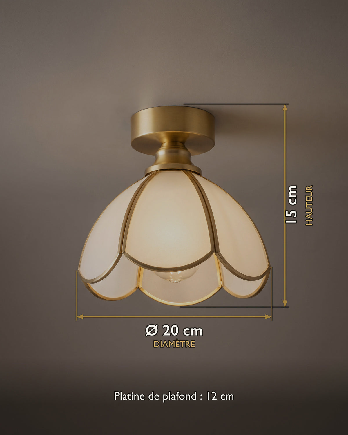 Plafonnier Tulipe : carte des dimensions