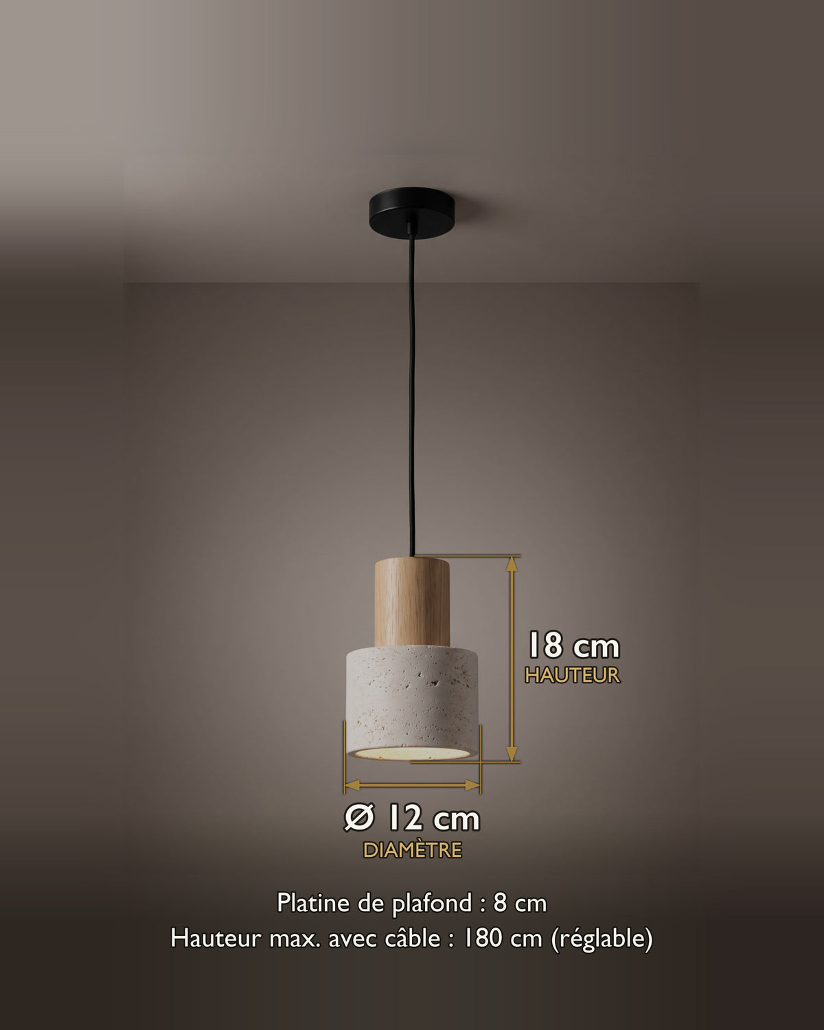 Suspension Pion : carte des dimensions