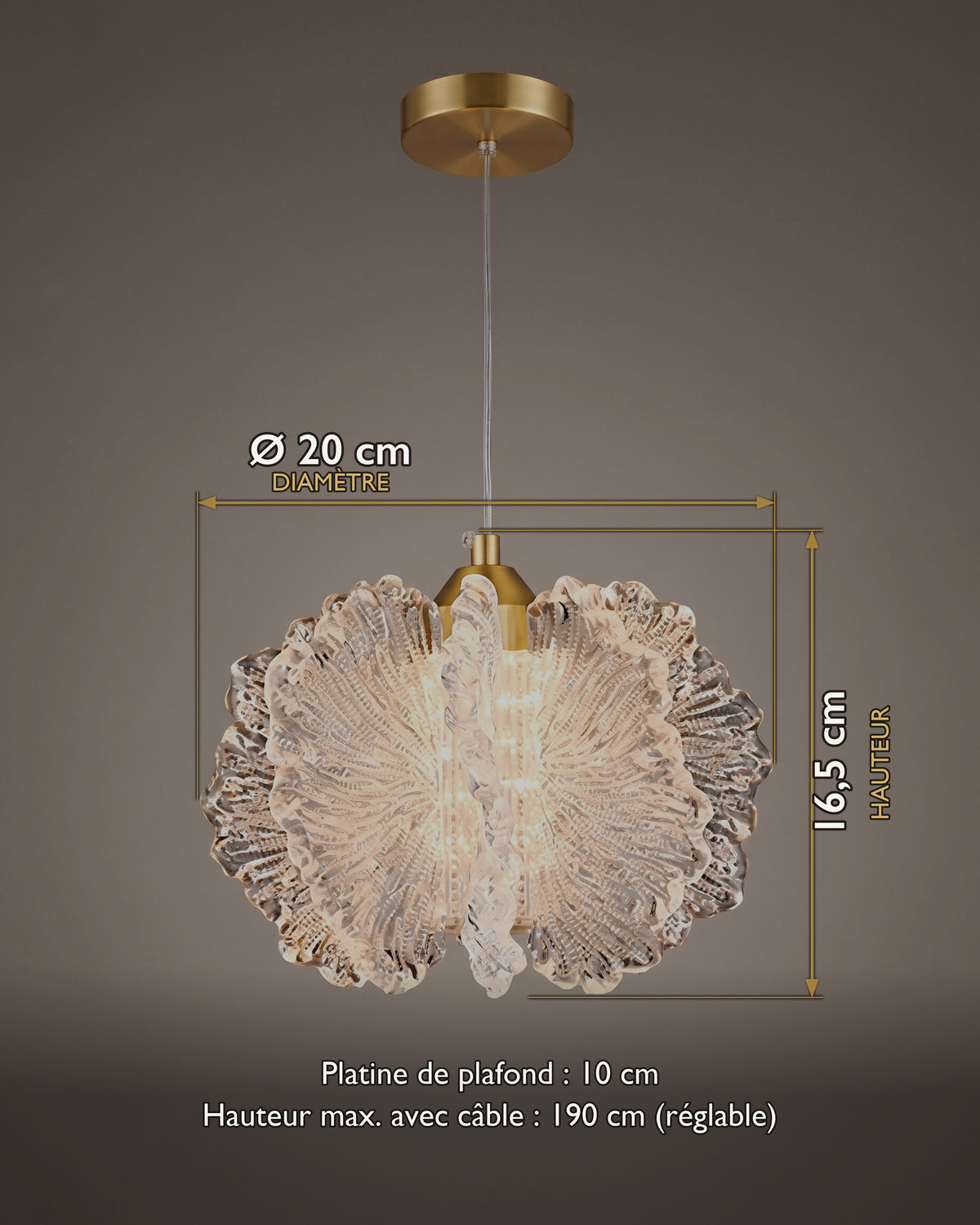 Suspension Corail : carte des dimensions