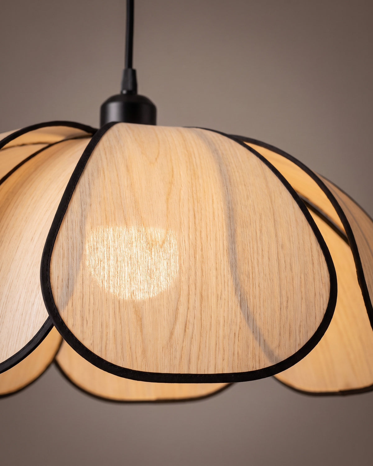 Suspension Pâquerette : gros plan sur la texture d'un pétale et son liseré noir