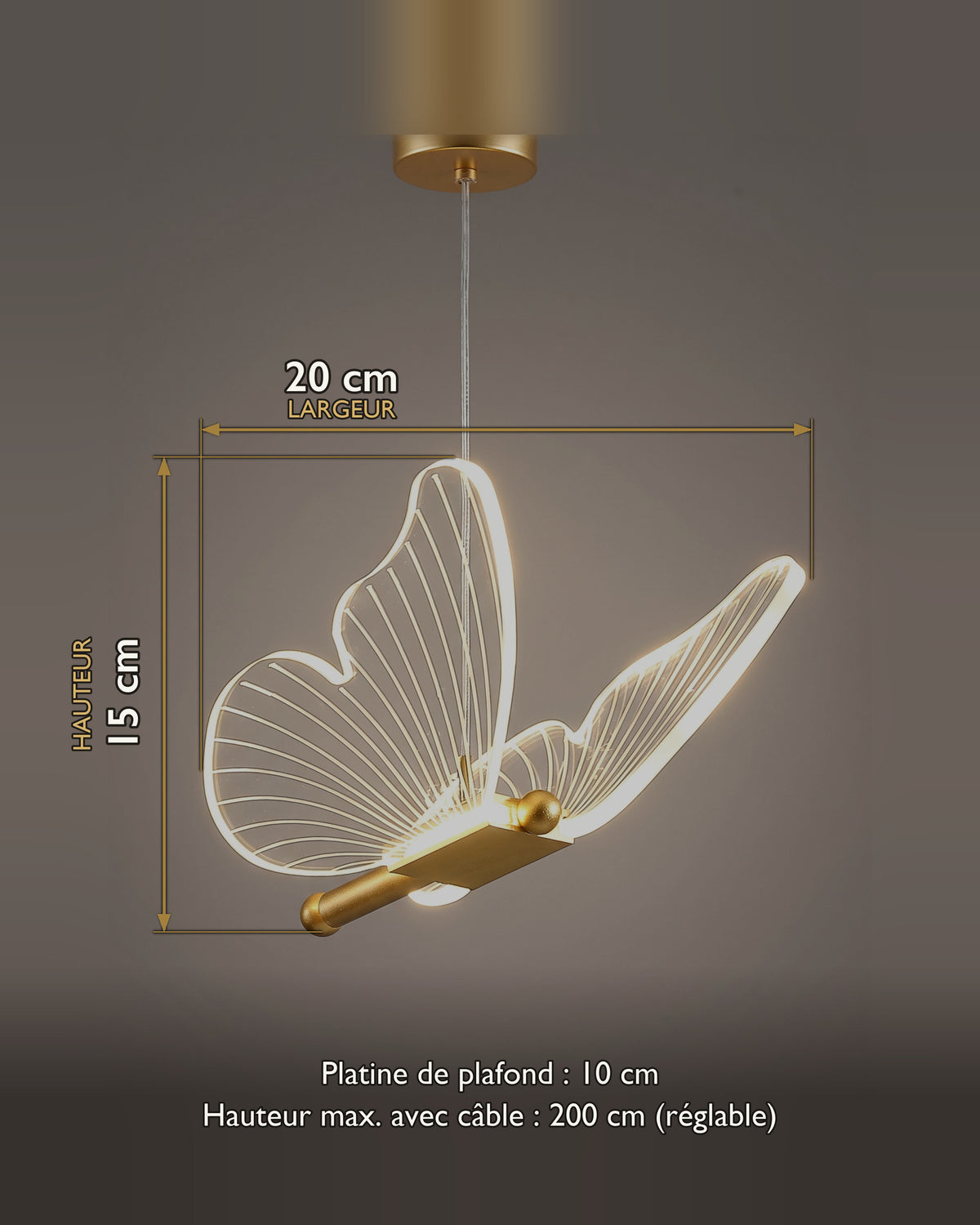 Suspension Papillon : carte des dimensions