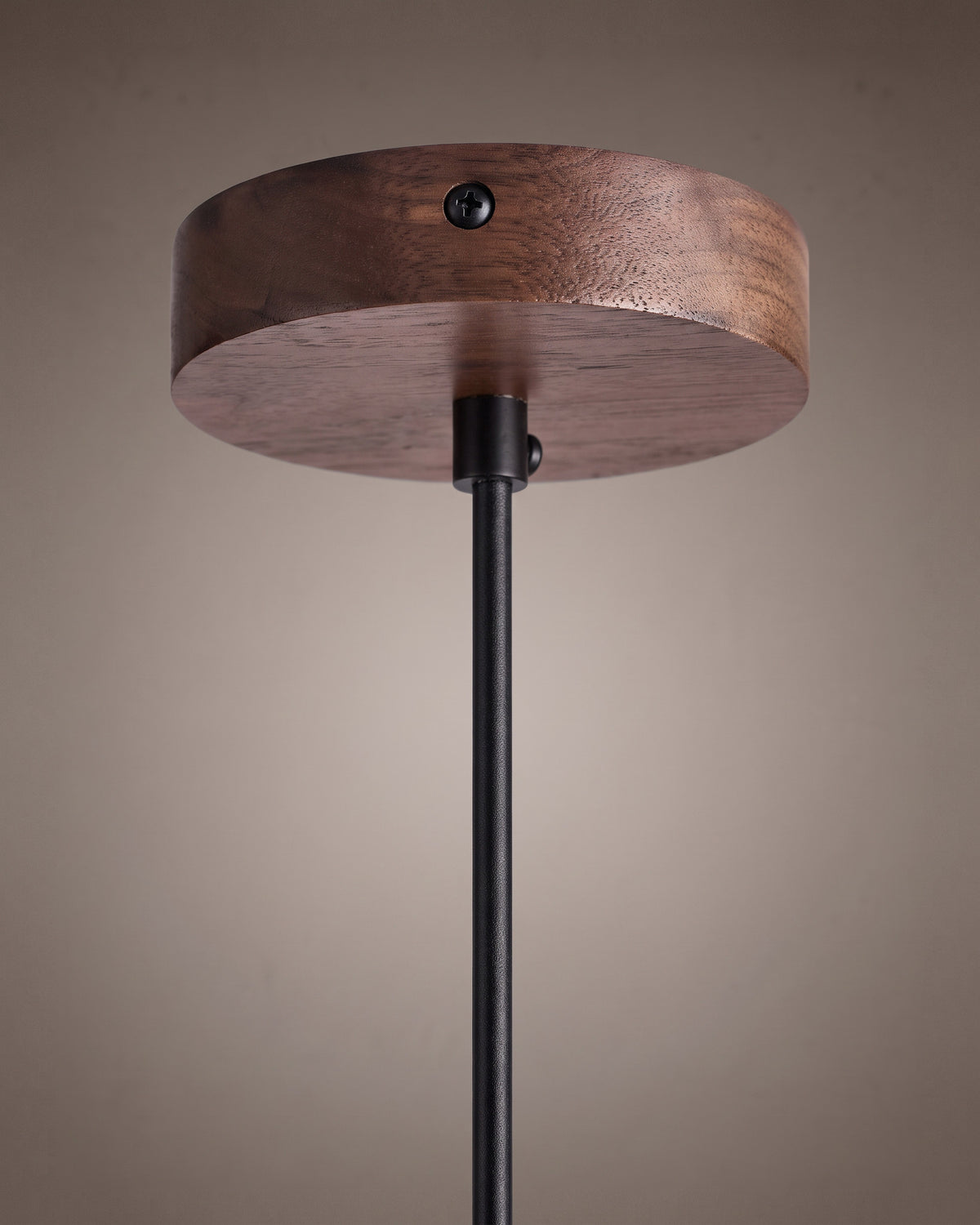 Suspension Tambour : détail, la rosace ronde noire et le départ de la suspension